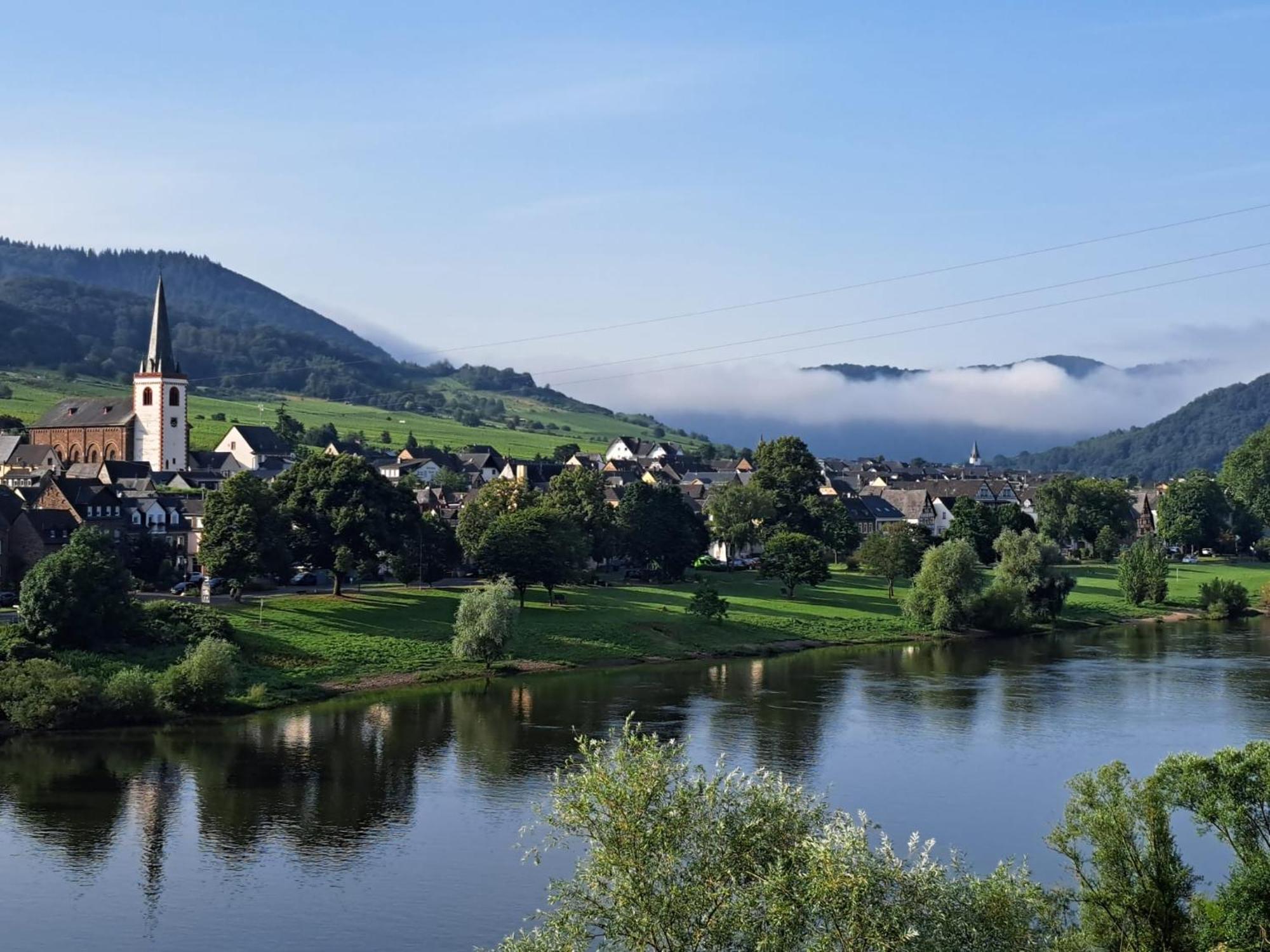 Ferienhaus Im Moseltal Bruttig-Fankel Zewnętrze zdjęcie